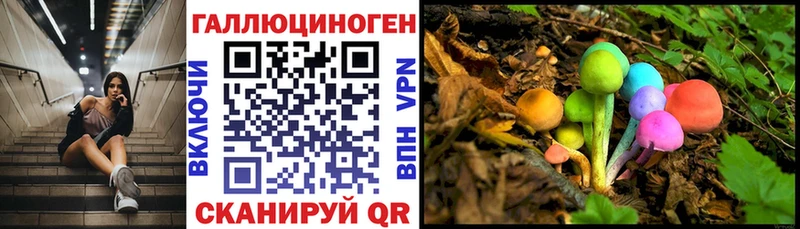 Псилоцибиновые грибы прущие грибы  Мытищи 